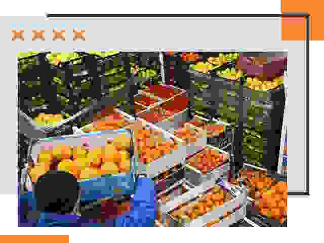 Перевозка скоропортящихся продуктов в Майкопе